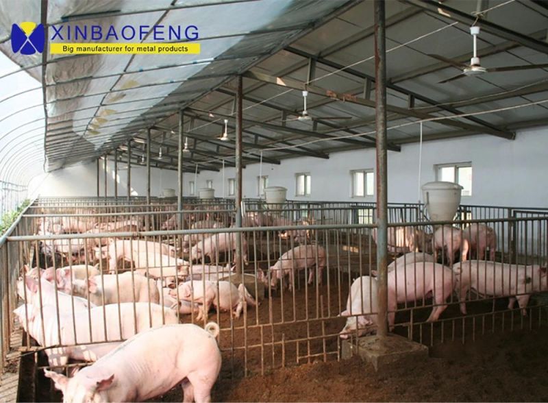 Chinese-Made Farm Machinery Breeding Equipment, Pig Farms, Double-Sided Stainless Steel Pig Feeders