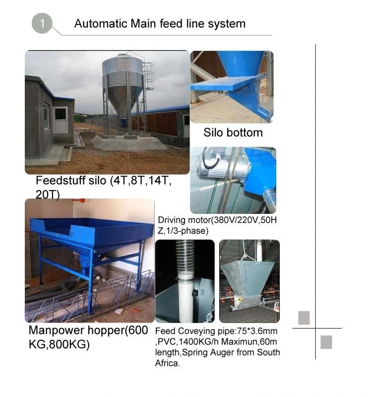 Automatic Chicken Drinking and Feeding System for Chicken Poultry Farming Equipment