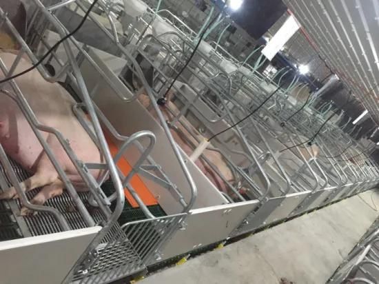 High Quality Pig Farrowing Crate Piggery Farming Pig Cage