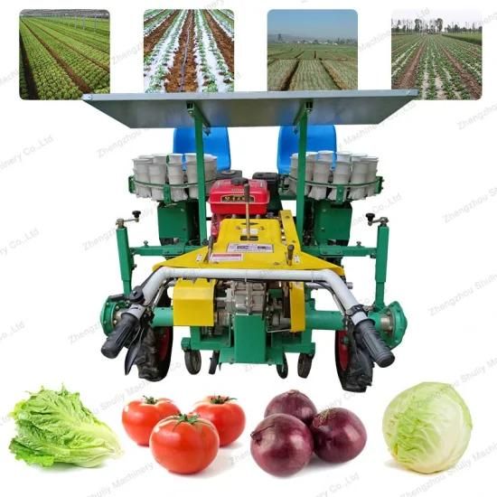 Agricultural Machinery Vegetable Seedling Transplanter Cabbage Garlic Planting Machine