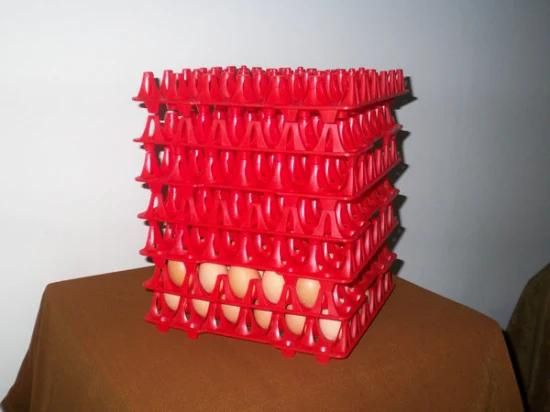 30 Holes Transportation Packaging Colored Plastic Egg Tray
