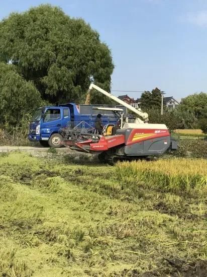 4lz-5.0z Rice Harvester Working in India