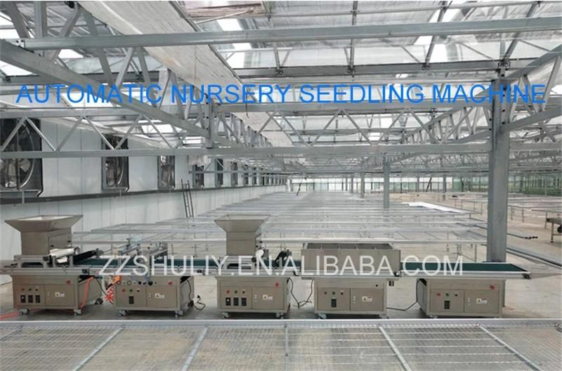 Automatic Seed Planting Machine Trays Seed Planting Machine Nursery Seeding Machine