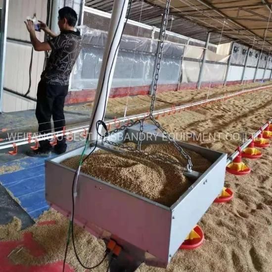 Modern Design Automatic Poultry Chicken Farm for Broiler
