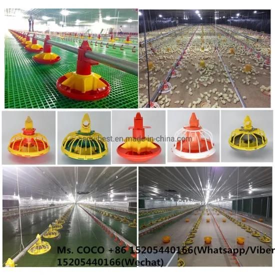 607700949341/6China Free Range Steel Structure Poultry Chicken Farm House with Equipment ...
