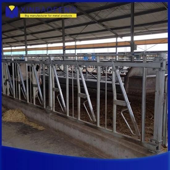 Factory Price Automatic Galvanized Cattle Headlocks for Cow