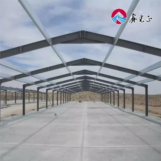 Export to Philippines New Design Steel Structure Layer Chicken House