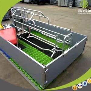 Durable Hog High Survival Rate Galvanized Farrowing Crates