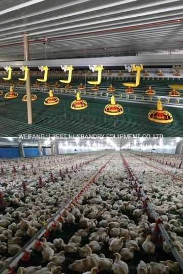 Poultry Exhaust Fan/Chicken Heater/Poultry Farm Control Shed Feeder Watering Equipment
