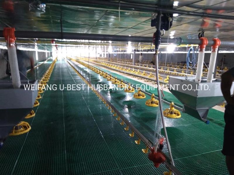 Feed Loading System-Pan Feeding System /Broiler&Nipple Drinking System/Broiler