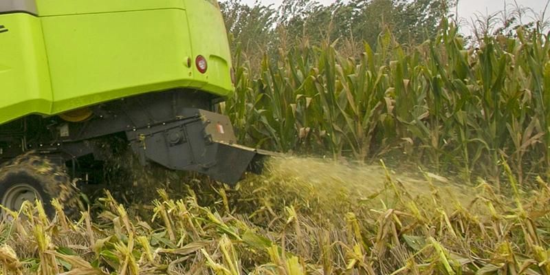 Great Buys Wider Cut Width Single Longitudinal Corn Harvesting Machine