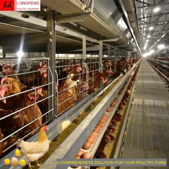 Hot-Selling 1 Year Warranty Computerized Poultry Farm Layer Cages 3-12 Tires