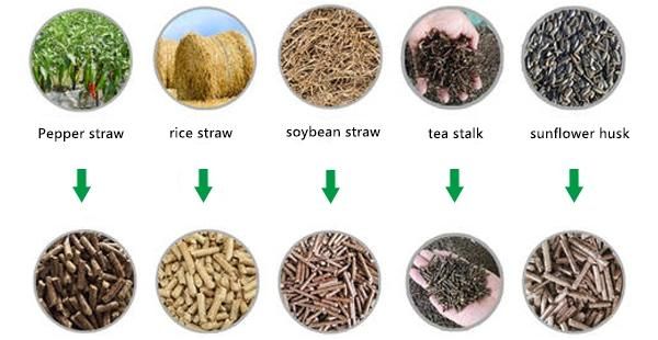 Feed Additives Improve Feed Formular Concentrated Feed Set
