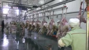 Slaughterhouse Goat Lamb Skin Hydraulic Dehider Removal Machines