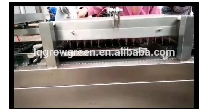 Automatic Vegetable Seeder Seed Sowing Machine Line for Seedling Tray