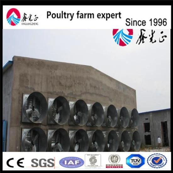 Steel Structure Shed Design Automatic Poultry Feeders and Drinkers Farming Equipment ...