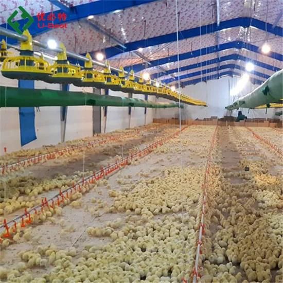 Good Quality Automatic Chicken Farm Poultry Equipment in Pakistan
