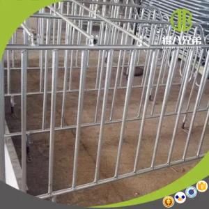 Individual Stall and Gestation Stall