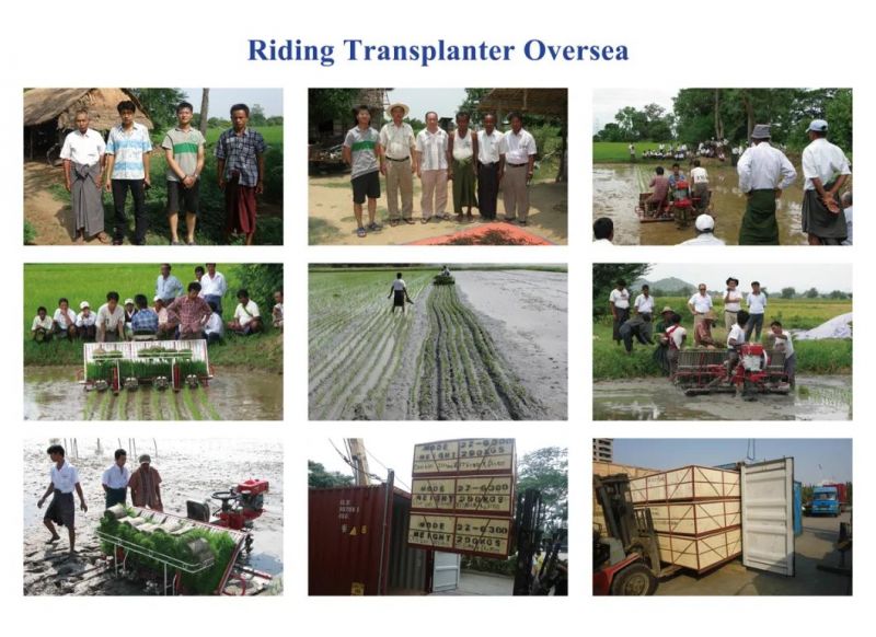 8 Rows Riding Type Paddy Rice Transplanter
