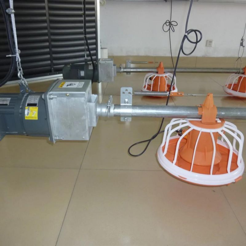 Poultry Farm Automatic Modern Feeder Pan System for Breeder Chicken