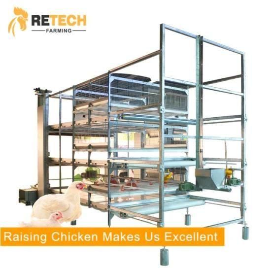 Qingdao Automatic H Type Meat Broiler Chicken Cage for Sale
