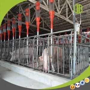 Livestock Equipment Hot DIP Galvanized Pig Gestation Stall for Sale