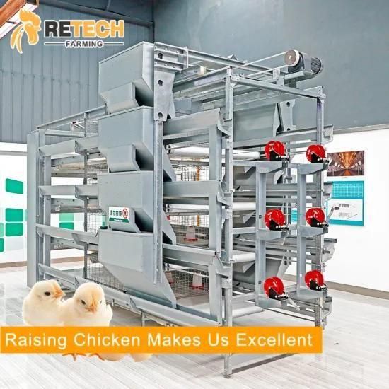 Automatic H Type Pullet Chicken Farming Equipment Chicken Layer Cage