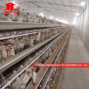 3 Tier a Type Chicken Layer Cage Poultry Farm Equipment