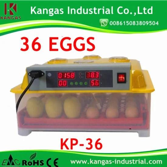 High Hatching Rate 36 Eggs Automatic Small Micro-Computer Control Digital Chicken ...