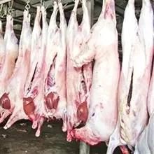 Sheep Slaughter Line for Halal Goat Abattoir