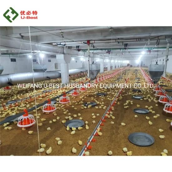 Poultry Farming Equipment with Automatic Chicken Farm Feeding System Price Broiler Feeder