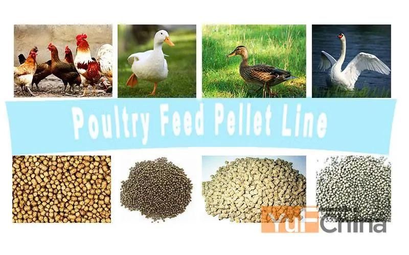 Low Price Poultry Feed Processing Equipment Sale