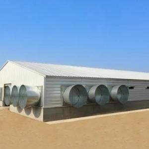 Prefab Chicken House with Automatic Equipments