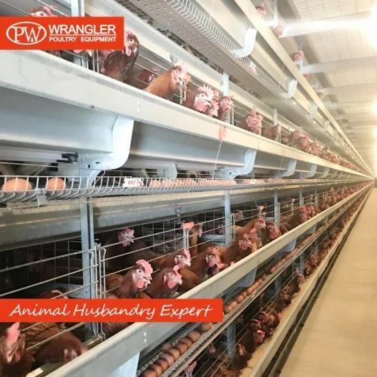 Poultry Cage Chicken Layer Battery Cage Automatic Chicken Cage