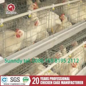 Automatic Chicken Shed Bird Breeding Cage (A3L120)