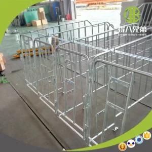 Popular Individual Stall for Protecting Gestation Sows