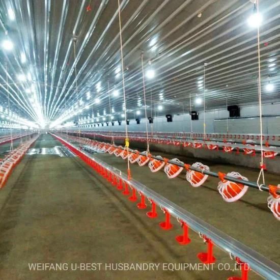 China Automatic Design Free Range Chicken Farming Equipment