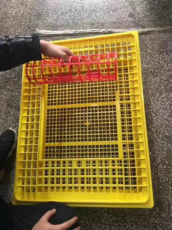 Chicken Plastic Transport Cage/Chicken Turnover Box Poultry Equipment