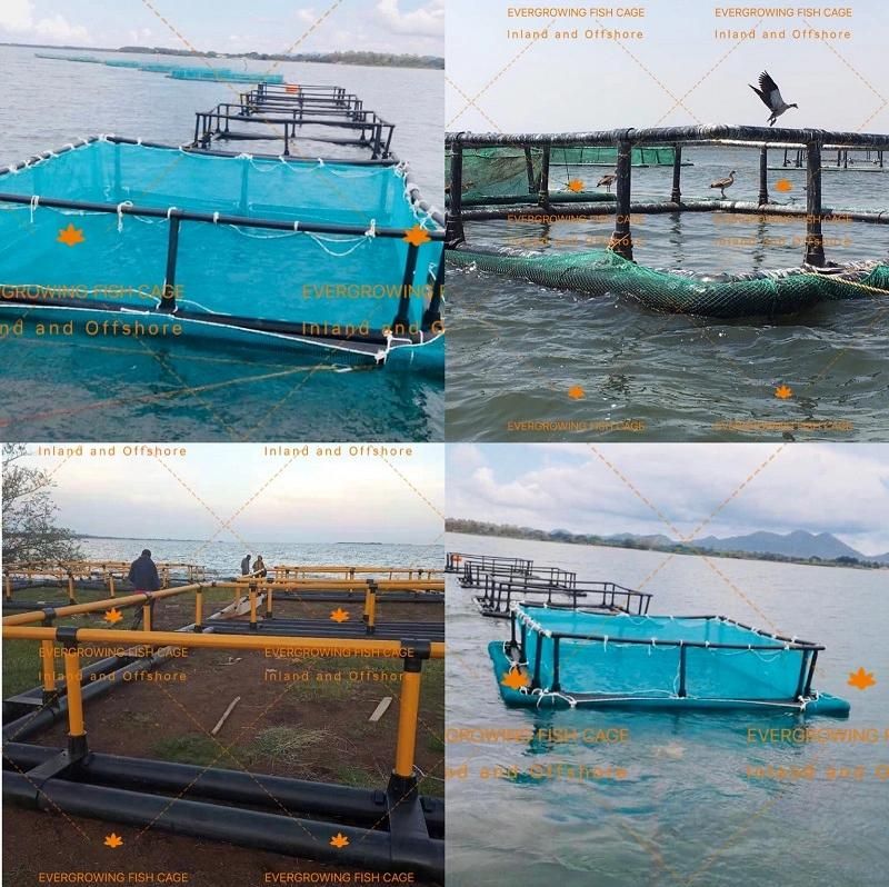 HDPE Square Floating Fish Fingerling Culture Commercial Cage