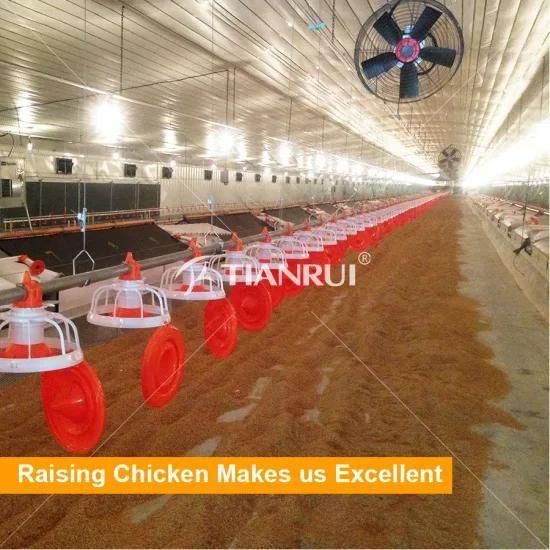 Chicken Farm Equipments with Poultry Feeding Systems