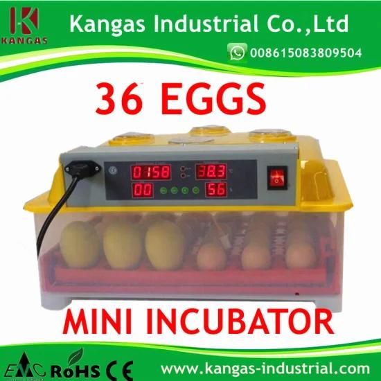 Mini Digital Manufacturer 36 Eggs Capacity Egg Incubator (KP-36)