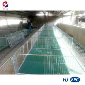 Metal Stall Nursery Pen/Bed/Stall/Crate for Modern Pig Farms