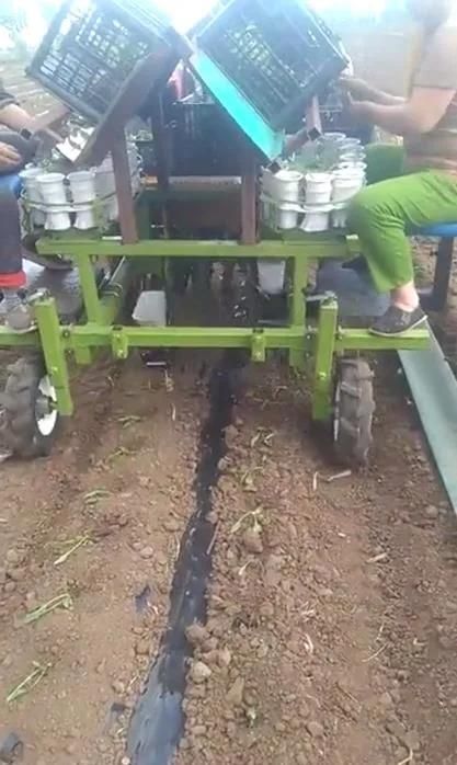 Whole Sale of Tractor Mounted 2 Rows Seedlings Transplanting Machine, Agricultural Machinery