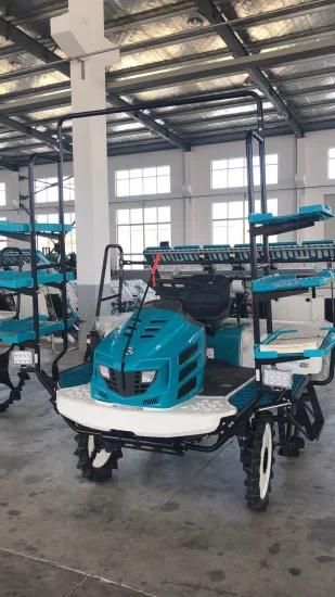 Wishope Machinery 6 Row Kubota Similar Riding Rice Transplanter for Sale in Bangladesh