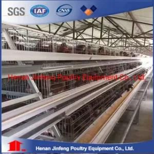 Chicken Use Layer Cage Poultry Farm Machinery