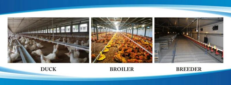 Qzh Cage Breeding Watering Line System for Layer/Broiler