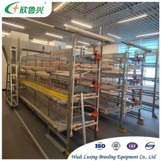 Galvanized Chicken Cages Laying Breeding Cage for Chicken Farm