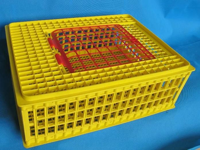 Poultry Farm Used Plastic Chicken Transport Cage Breeder