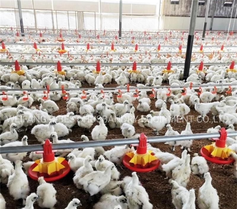 Complete Automatic Controlled Machinery Poultry Shed Farm Equipment for Chicken Broiler House