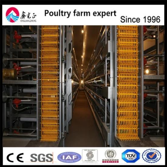 H-Type Multi-Tier Layer Cage Poultry Farm Equipment for Sale